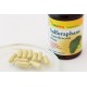 Sulforaphane - broccoli extract 400 mcg (60 capsules) (Vitaking) by Vitanord.eu